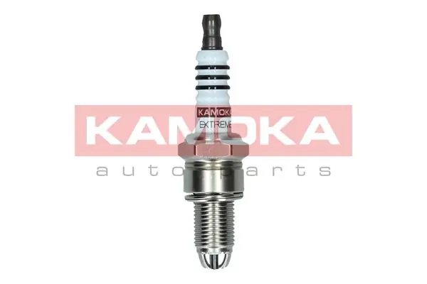 Spark Plug