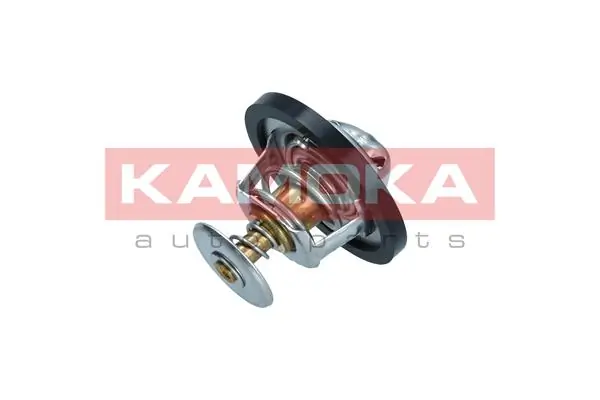 Thermostat, coolant
