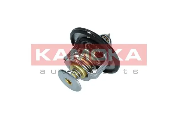 Thermostat, coolant