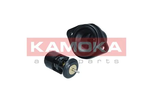 Thermostat, coolant