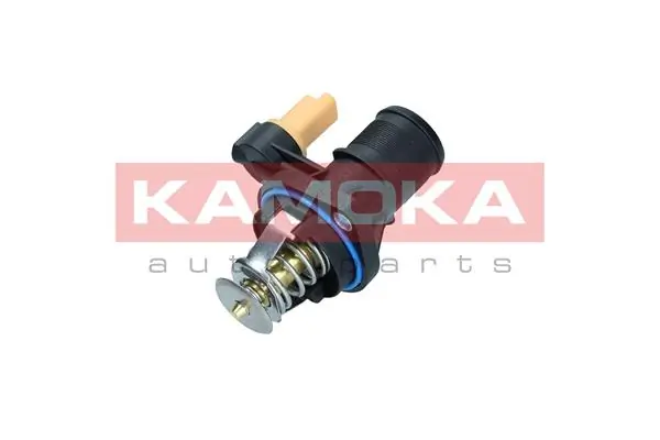 Thermostat, coolant