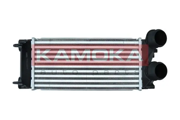 Charge Air Cooler