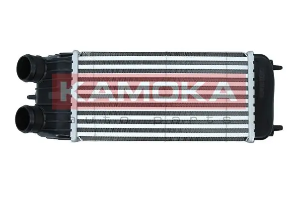 Charge Air Cooler