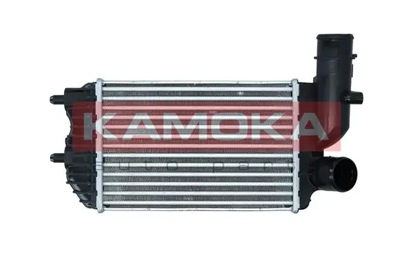 Charge Air Cooler