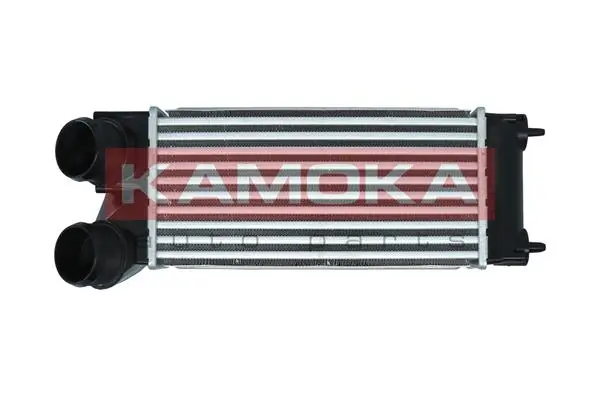 Charge Air Cooler