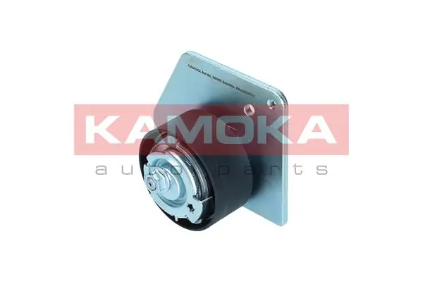 Tensioner Pulley, timing belt