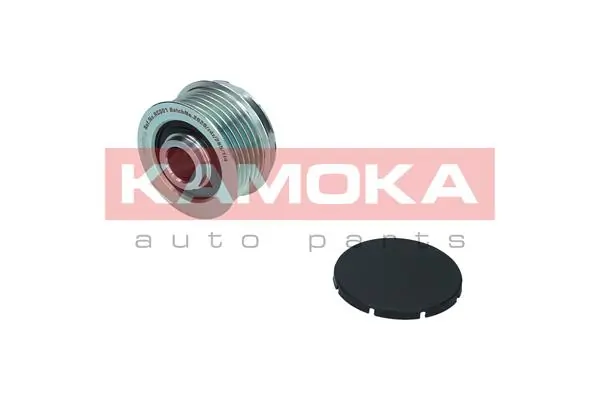 Alternator Freewheel Clutch