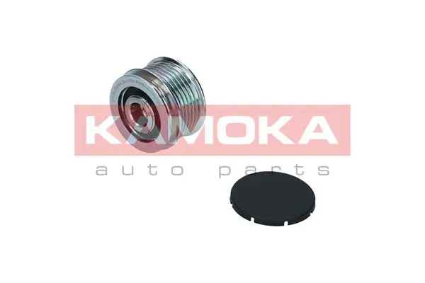 Alternator Freewheel Clutch