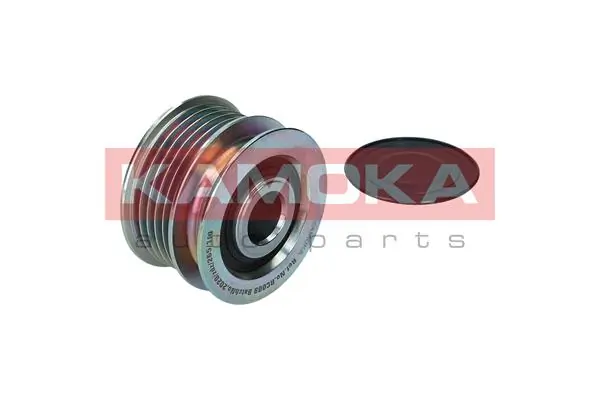 Alternator Freewheel Clutch
