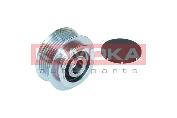Alternator Freewheel Clutch