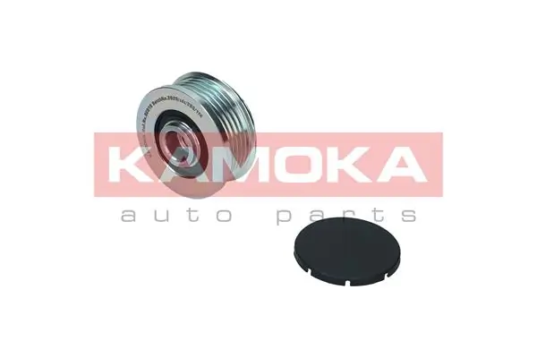 Alternator Freewheel Clutch