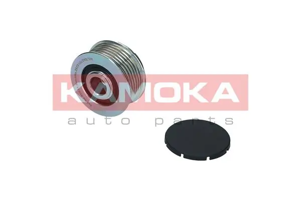 Alternator Freewheel Clutch