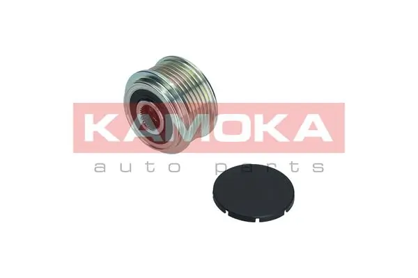 Alternator Freewheel Clutch