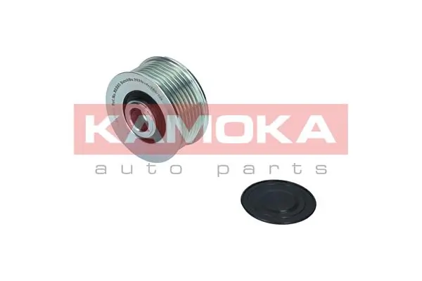 Alternator Freewheel Clutch
