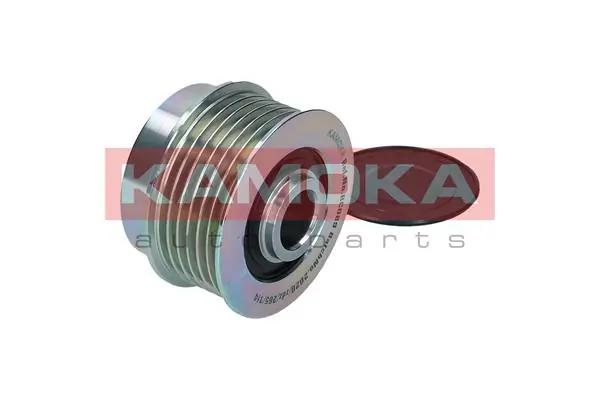 Alternator Freewheel Clutch