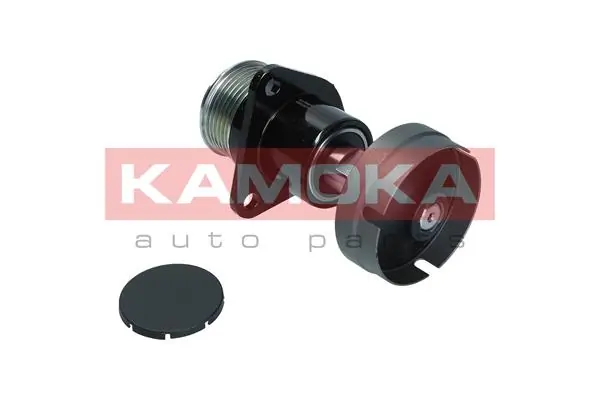 Alternator Freewheel Clutch