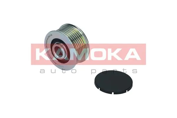 Alternator Freewheel Clutch