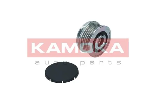 Alternator Freewheel Clutch