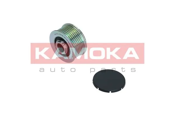 Alternator Freewheel Clutch