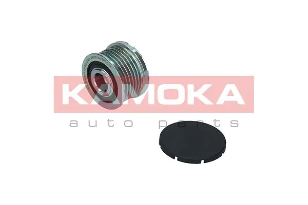 Alternator Freewheel Clutch