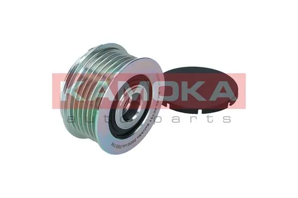 Alternator Freewheel Clutch