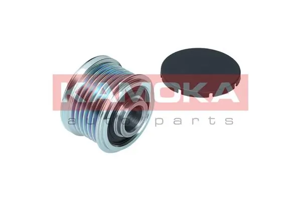Alternator Freewheel Clutch