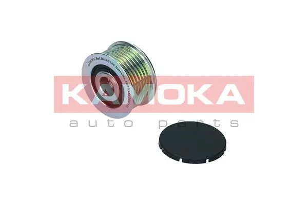 Alternator Freewheel Clutch