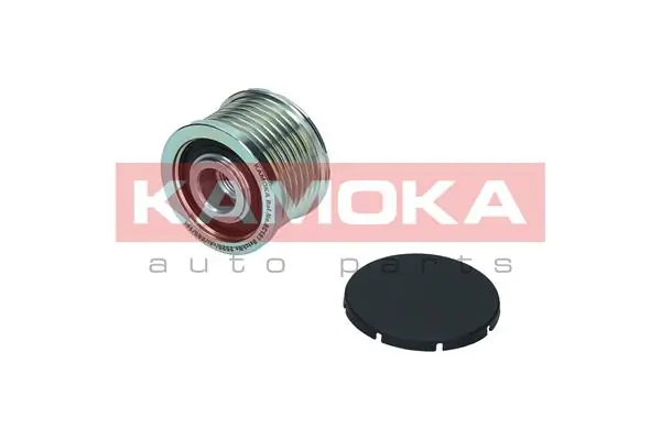 Alternator Freewheel Clutch
