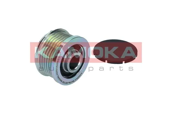 Alternator Freewheel Clutch