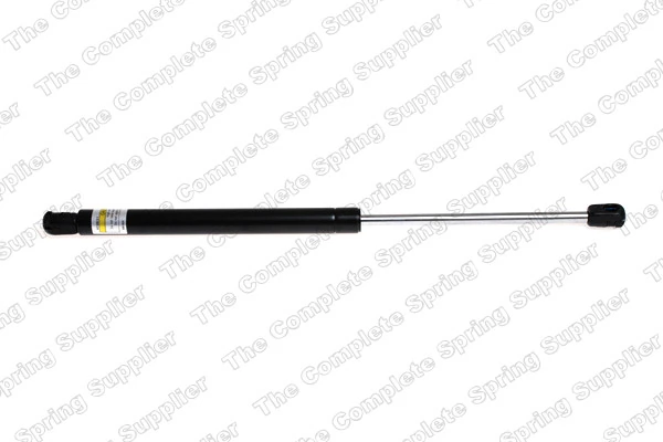 Gas Spring, boot/cargo area