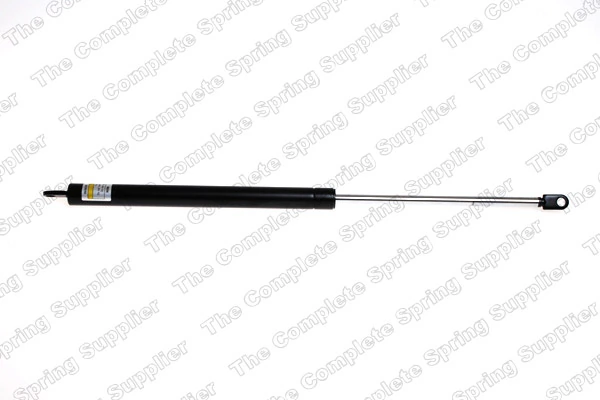 Gas Spring, boot/cargo area