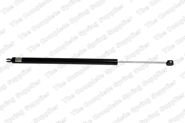 Gas Spring, boot/cargo area