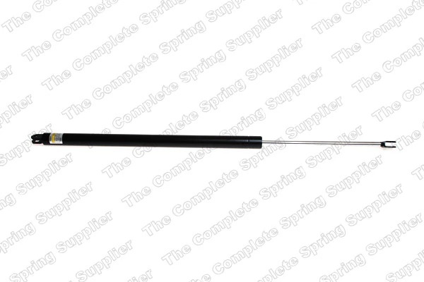Gas Spring, boot/cargo area