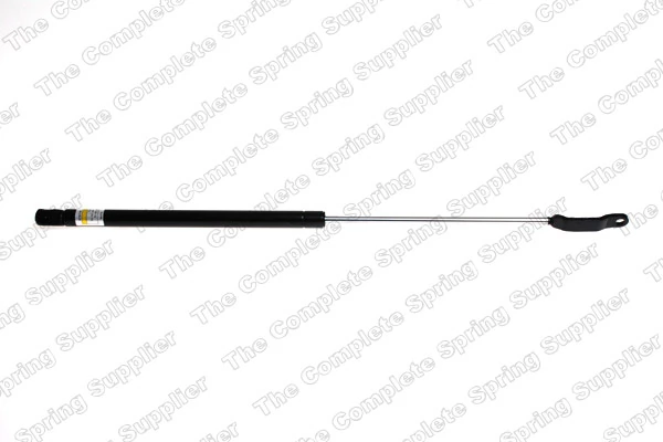 Gas Spring, boot/cargo area