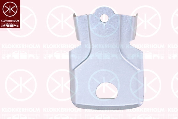 Splash Guard, brake disc