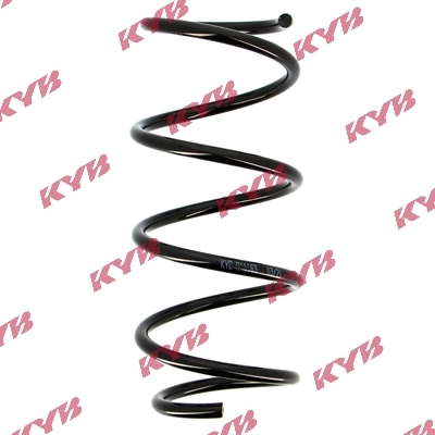 Suspension Spring