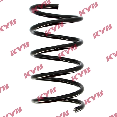 Suspension Spring