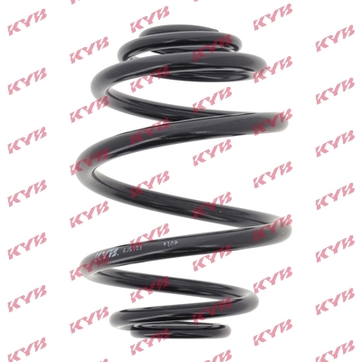 Suspension Spring