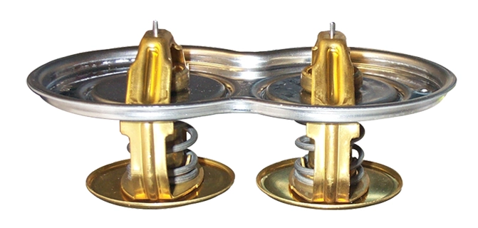 Thermostat, coolant