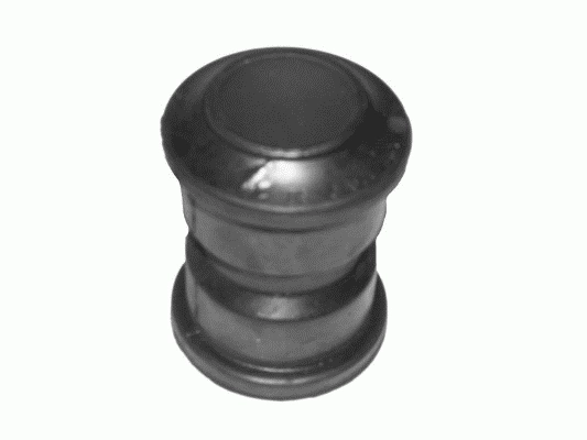 Bush, spring shackle
