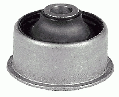 Mounting, control/trailing arm