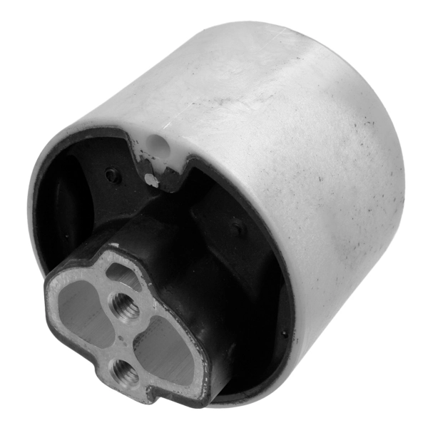 Mounting, transfer case