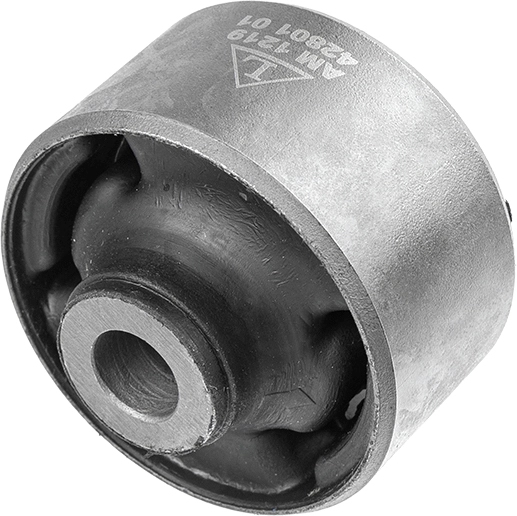 Mounting, control/trailing arm