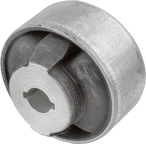 Mounting, control/trailing arm