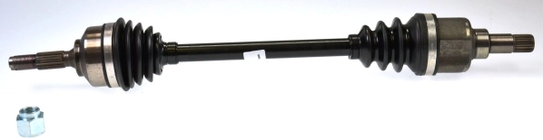 Drive Shaft
