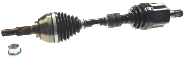 Drive Shaft