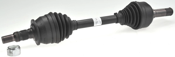 Drive Shaft
