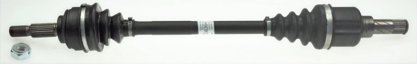 Drive Shaft