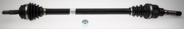 Drive Shaft