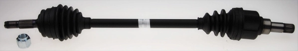 Drive Shaft
